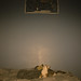 Natasha Green Photo 27