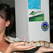 Julie Henne Photo 5