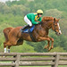 Susan Nagle Photo 9