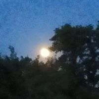 Marcia Mindack Photo 2