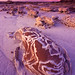 Colleen Sperry Photo 9