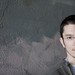 David Kreiger Photo 14