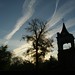Dawn Parks Photo 24