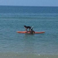 Rebecca Howland Photo 12