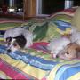 Jennifer Minter Photo 16