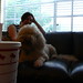 Kelly Burbank Photo 13