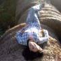 Melissa Sadler Photo 42
