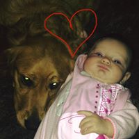 Stephanie Brent Photo 7