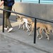 Laurence Cooley Photo 10