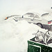 Kristine Snow Photo 20