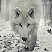 Brenda Hooks Photo 29