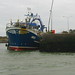 Deborah Ireland Photo 16
