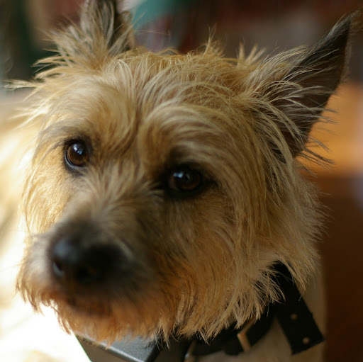 George Dougherty Photo 11