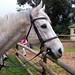 Lisa Gray Photo 21