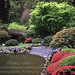 Craig Tuttle Photo 35
