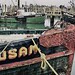 Susan Fish Photo 42