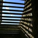 Charles Ireland Photo 25
