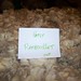 Patsy Samples Photo 9