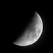 April Moon Photo 11