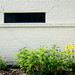 Susan Geyer Photo 23