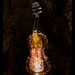 Mark Engman Photo 16