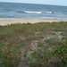 Augustine May Photo 10