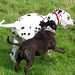 Amy Bracken Photo 8