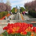 Margaret Li Photo 16