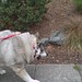 Stanley Chance Photo 5