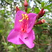 Flora Avila Photo 9