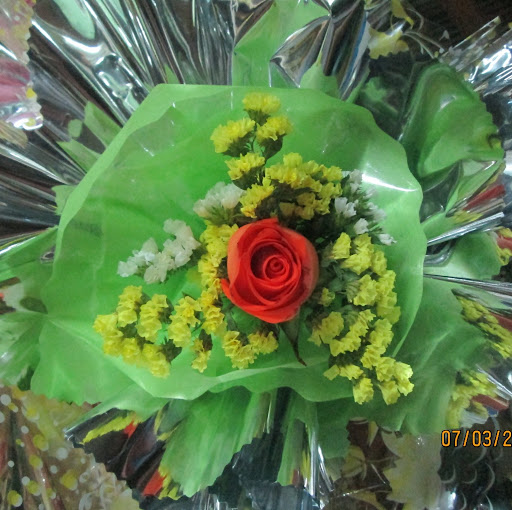 Kieu Dinh Photo 5