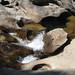 Dana Pool Photo 10