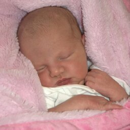 Michael Dotson Photo 10