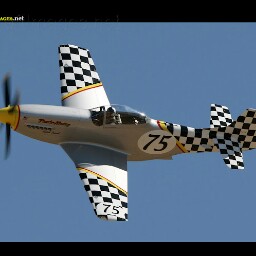 Thomas Webber Photo 30