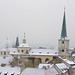 Thomas Snow Photo 24