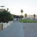 Susan Lauer Photo 10