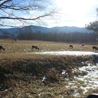 Robert Sperry Photo 41