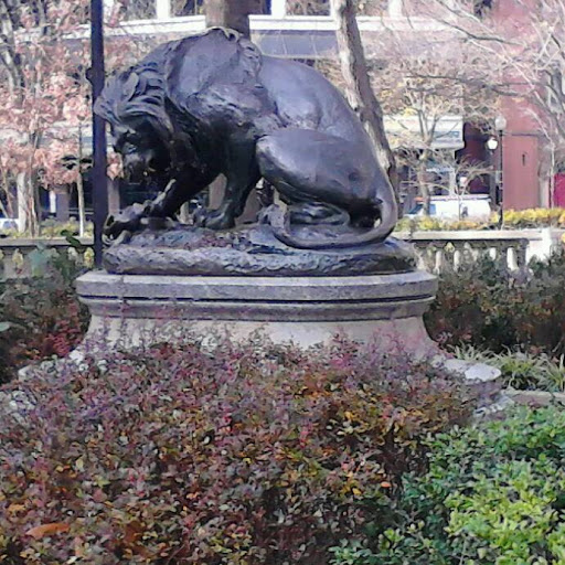 Stephen Garrison Photo 17