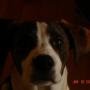Susan Layman Photo 23