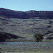 Judith Rodgers Photo 26
