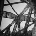 Diana Halstead Photo 10