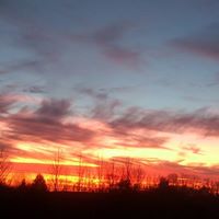 Sheri Bennett Photo 27