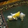 Brenda Inman Photo 20