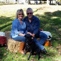 Traci Hamilton Photo 27