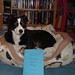 Stephanie Stephenson Photo 23