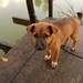 Betty Broom Photo 12