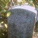 Edward Doty Photo 9