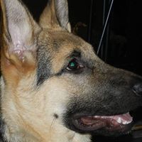 Sandi Baker Photo 12