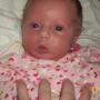 Terry Sturgill Photo 9