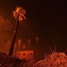 Byron Burns Photo 21